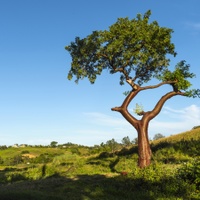 Údolí Viñales