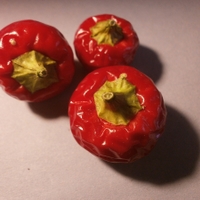 Držkopal