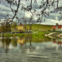 V Bohdanči 