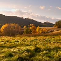 Remízek
