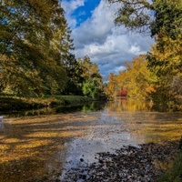 Listí, listí, listí