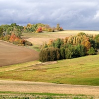 Vysočina u Skřivánku