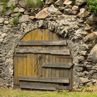 sklípek