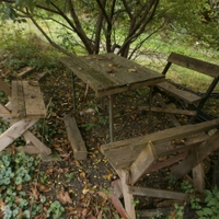 V lesní tišince - klídek