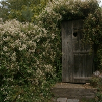 Budko, boudičko, kdo v tobě vostává?