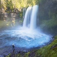 ... OREGON ...