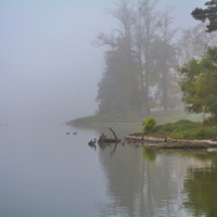 Mlha nad rybníkem