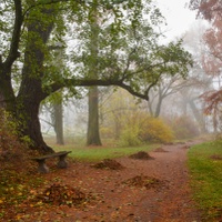 Podzimní chodníček