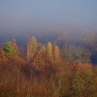 Dnešní mlhavé ráno