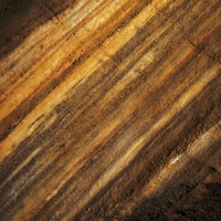 zápisník histrorie