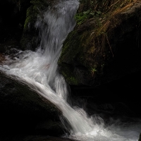 jaro na Bílé Opavě  6