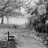 ** jen tak dušičkově **