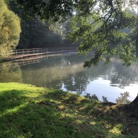 ** ranní paprsky **