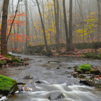 Prunéřovský potok
