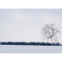 .............l...... ....