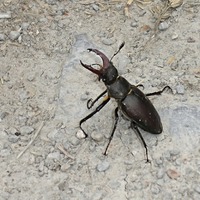 náhodné setkání 2