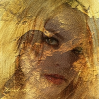 nestárnoucí portrét 322