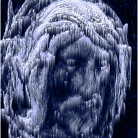 tvář vykupitele 255