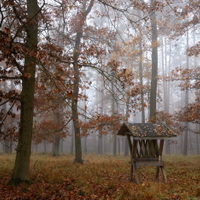 kde se zastavil čas