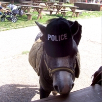 ... a povolení k prodeji ...?