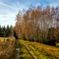 Pozdní podzim v přírodě 