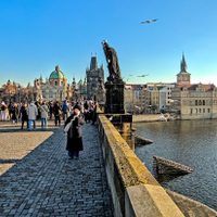 Slunečný zimní den