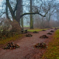 V dvojřad nastoupit!