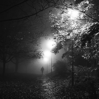 .. večerní toulky ..