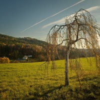 ....přicházel podzim do Ráje...