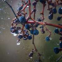 ...zimní kuličky....