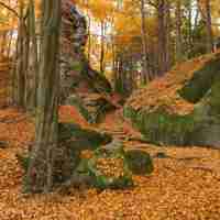 ....čarovný podzim...