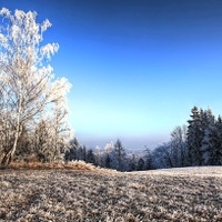 ...a tráva pod botami pěkně křupala....
