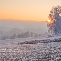 Přání k novému roku 