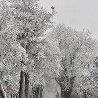 Počasí těchto dnů