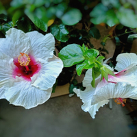 Jako by ani konec roku nebyl . . . .