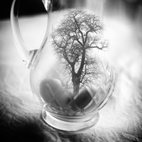 Ochrana životného prostredia