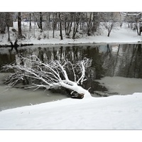 Tam, kde jsou bobři