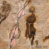 hříšné představy