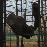 V tenatech civilizace