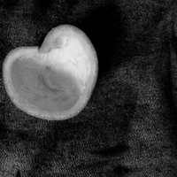 Srdeční záležitost