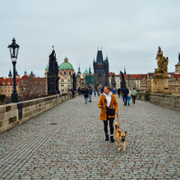 Na procházce se psem