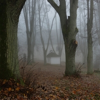 Alej před kostelíčkem