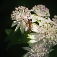 vzpomínání na léto