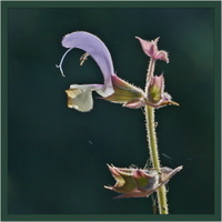 vzpomínání na léto