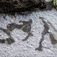 Žabička pod ledem :-)