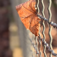 .. v zimním slunci..