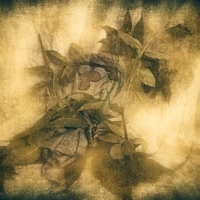 Prírodu nepodplatíš