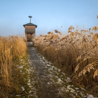 Zima v ptačích loukách