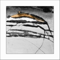 krajina posedlá tmou