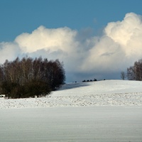 Vysočina u Zbožice